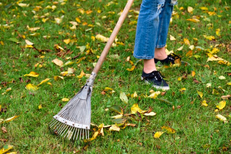 Raking Leaves
