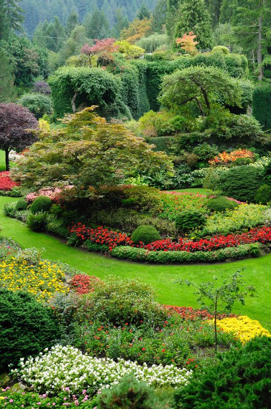 Park Landscaping in Honolulu, HI